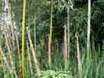 Copy of DSC02900